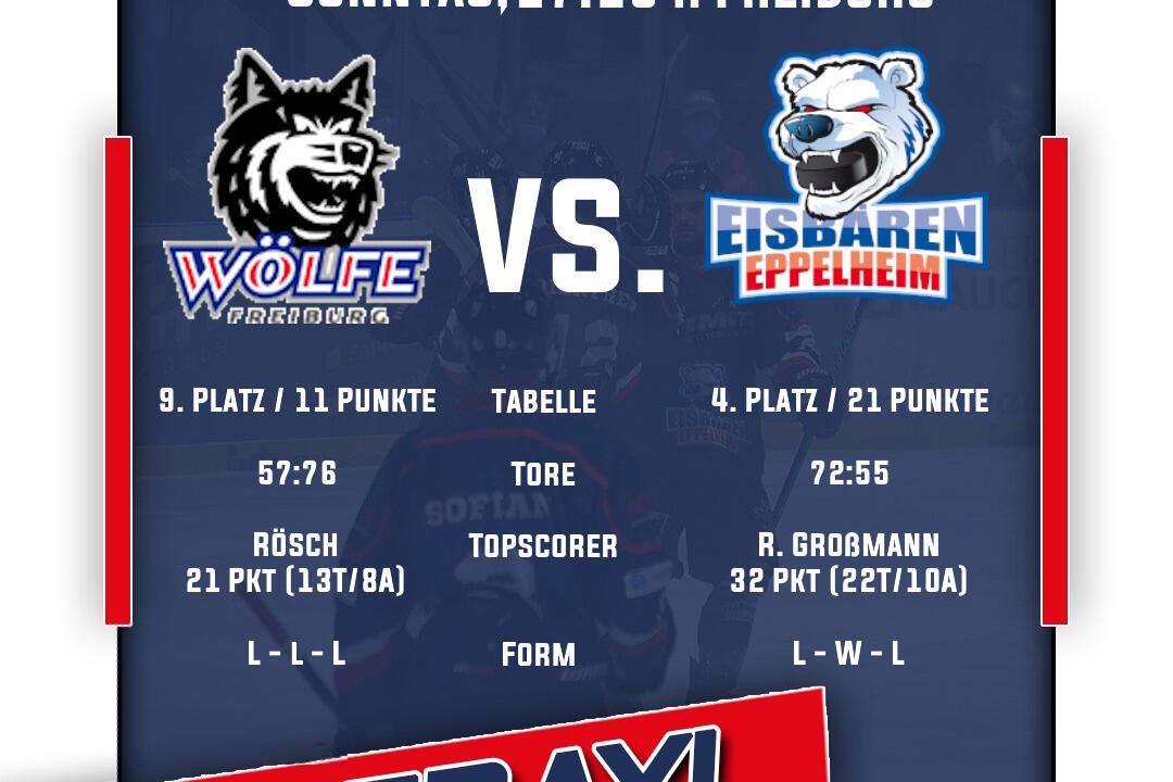 Eisbären zu Gast in Freiburg
